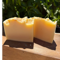 Citrus Mint Botanical Soap