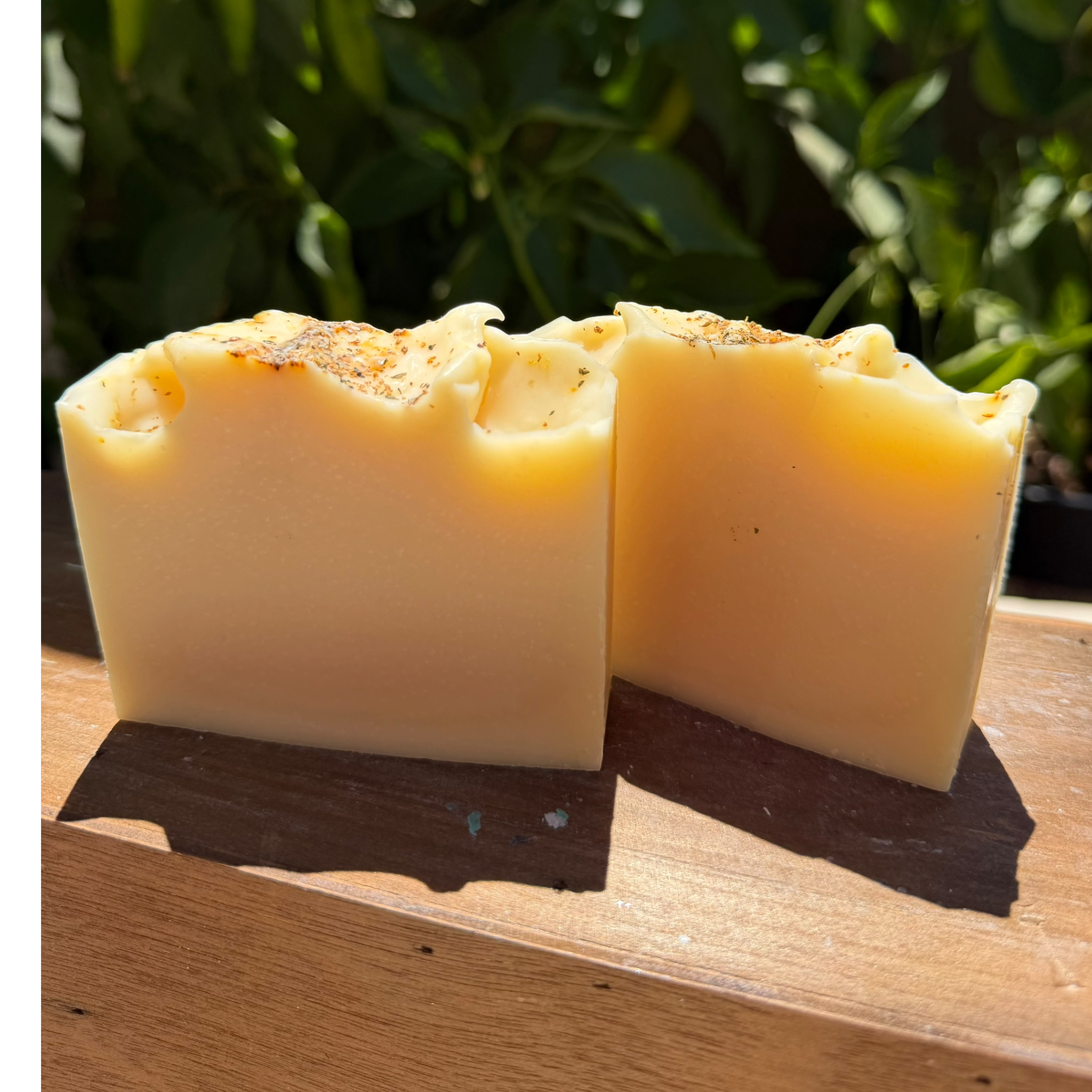 Citrus Mint Botanical Soap